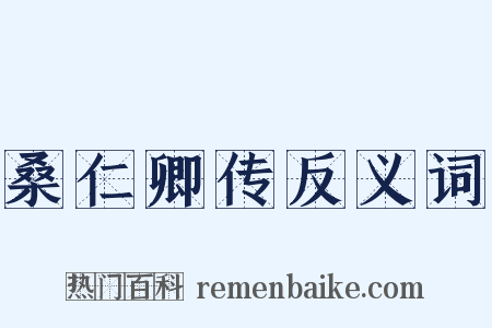 桑仁卿传反义词是什么意思的图片